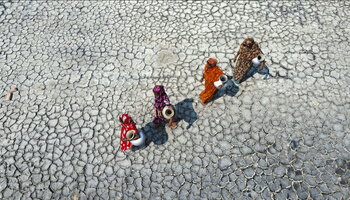 Film Poster for 'No Ark: Contending Faith in a Changing Climate'