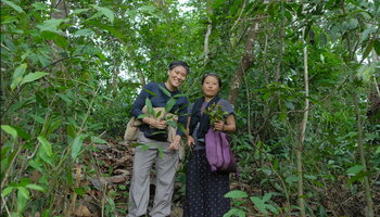 Film Poster for 'Abundance: Living with a Forest'