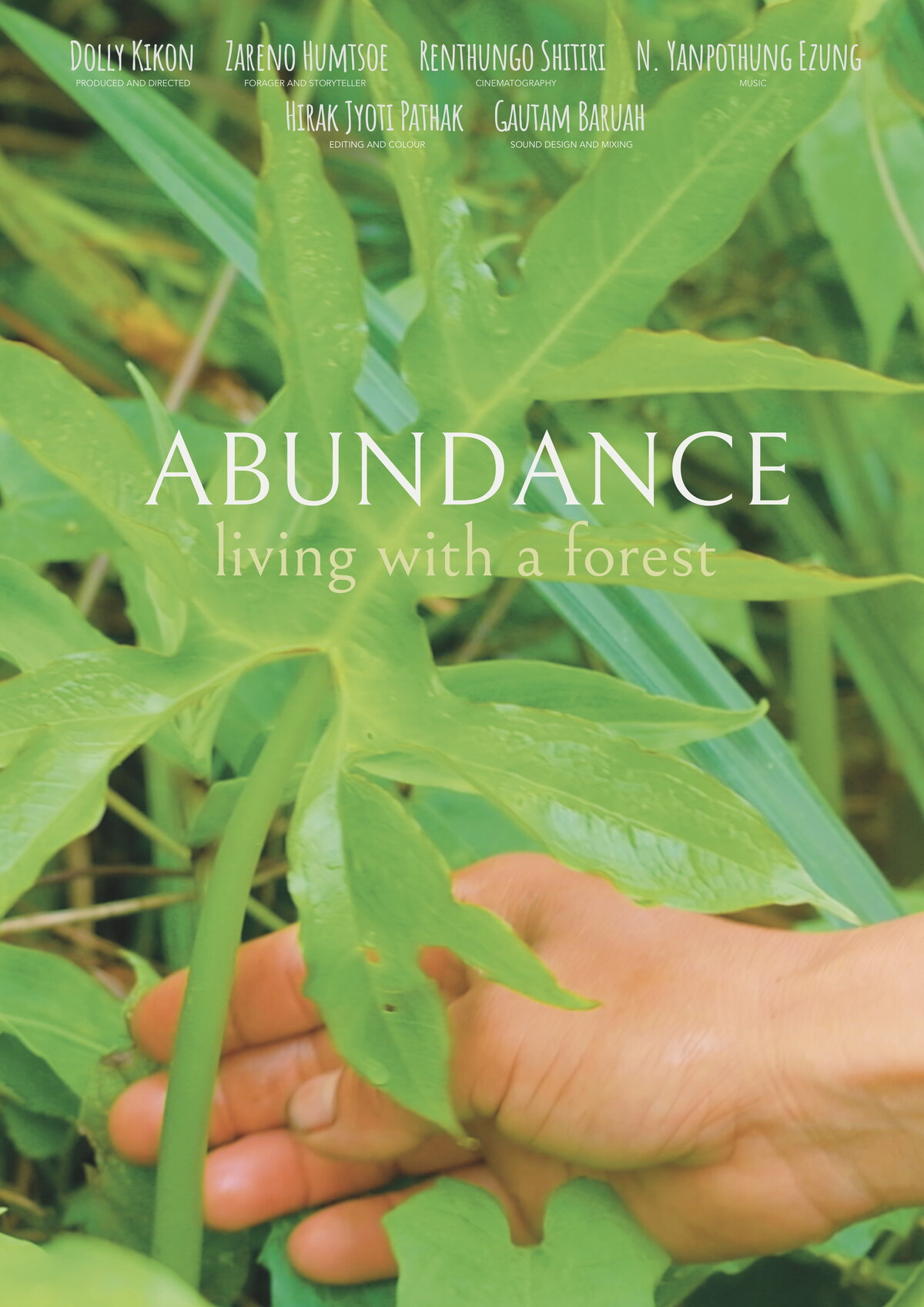 Poster for 'Abundance: Living with a Forest'