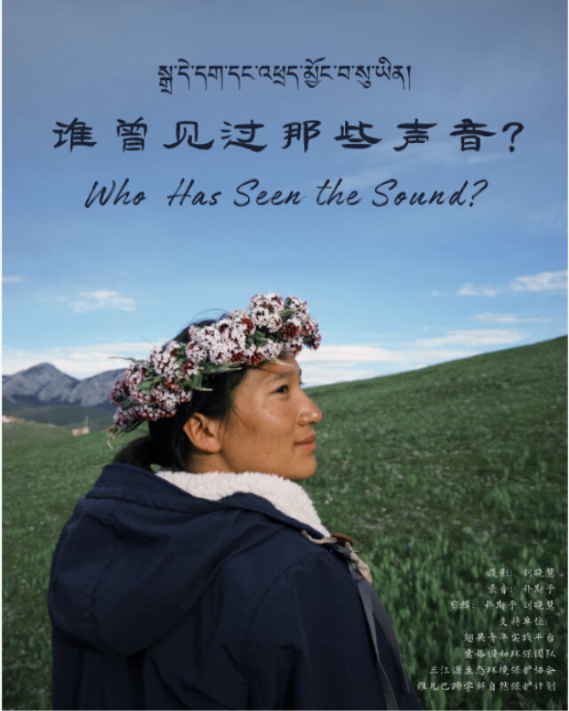 Film Poster for 'Who Has Seen the Sound?'