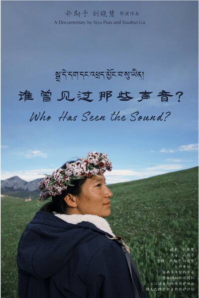 Film Poster for 'Who Has Seen the Sound?' Directed by Xiaohui Liu